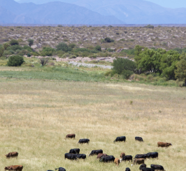 自然保护地智能管理系统