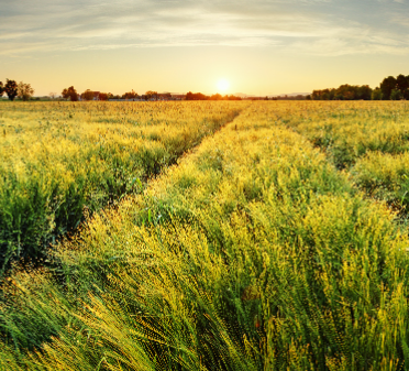 国土资源可视监管系统综合平台