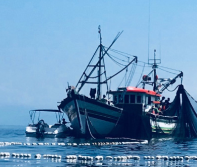 智慧渔业管理平台